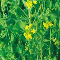 禁毒知识读后感五百字以上汇总