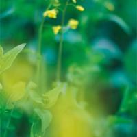 红色基地一日游观后感精练