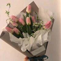 疯狂金龟车观后感100字整理