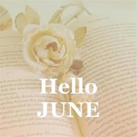 禁止放烟花读后感400锦集