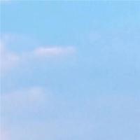 小精灵观后感150字总汇