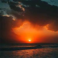 保险知识培训观后感合集