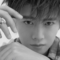 三年级下册的书读后感收集