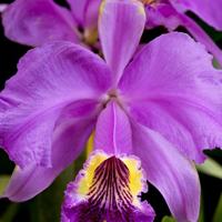 地道战观后感350字1篇汇总