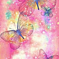 非洲读后感五十字摘录