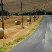 圣诞节观后感150字集锦