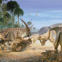 毕业生存指南观后感汇总