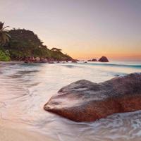 村上春树《旅》读后感合集