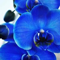 风景画的发展美术观后感锦集