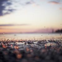 书香校园读后感作文选录