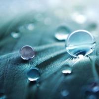 花婆婆读后感400字汇合