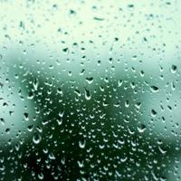 小飞侠彼得潘的小屋读后感汇合