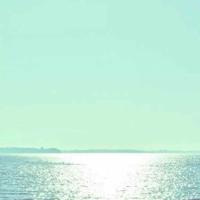 鱼动画片观后感100字精练