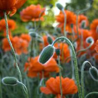 泡泡历险记第六集读后感摘录