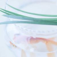 人生另一种财富读后感精选