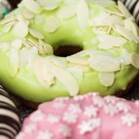 骆驼祥子离婚第一章读后感细选