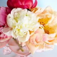 五年级老阿姨读后感锦集