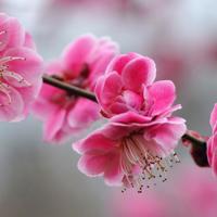 三国志这本书的读后感摘录