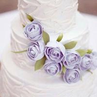 偷颜色的贼读后感50字集合