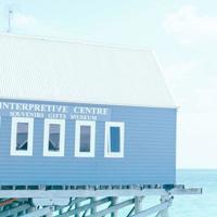 抉择这本书观后感聚集