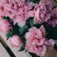 微电影青春逐梦观后感汇聚