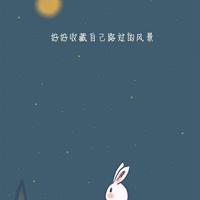 生命生命小练笔读后感合计