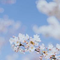 逆袭的少年读后感汇编