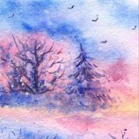 海豚湾观后感英文合计