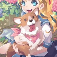 二次元演唱会观后感选录