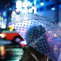 幼儿锄禾舞蹈观后感总汇