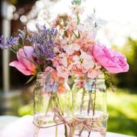 嘉庚精神读后感500选录