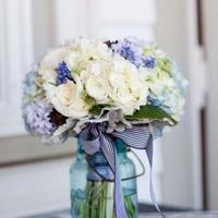 奇迹男孩观后感500集合