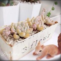 界石铺纪念园观后感合集