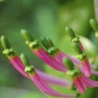 看禁毒宣传片写观后感整理