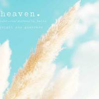 单车上的少女观后感聚集