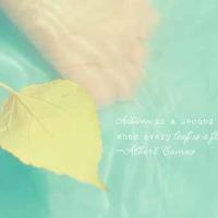 关于成长思维的观后感收集