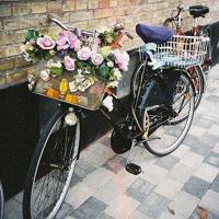 塞维利亚的理发师观后感集锦