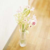 憨豆特工读后感300精练