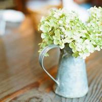 艾滋病病理学读后感汇集