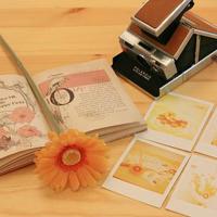 读鱼夫和他的妻子读后感集锦