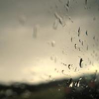 国庆大阅兵读后感三百字汇聚