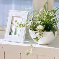 重回草原的读后感合集