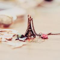 旗帜第2集观后感200字总汇