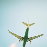 《双双燕》读后感精练