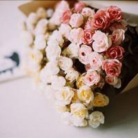 飞虎队电影观后感100字聚集