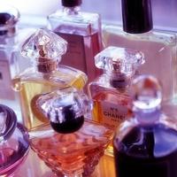 狼读后感七年级上册合计