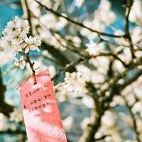 创新中国1第一集观后感选录