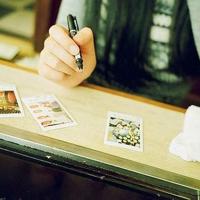 牛的母爱亲情的读后感细选