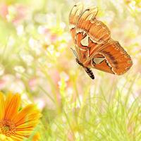 生命的挑战观后感150字聚集