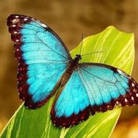 追梦读后感150个字汇聚